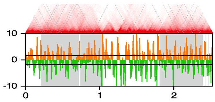 3C contact plots and directional preference plots idenitifying chromosome interaction domains and their boundaries
